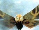 MOTHRA!