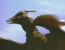 Rodan!